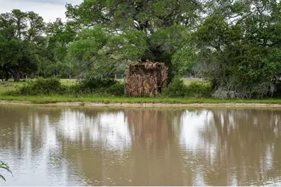 3814 County Road 19, Hallettsville, TX 77964 - Photo 38