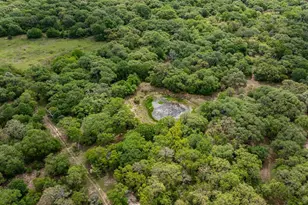 3814 Co Rd 19, Hallettsville, TX 77964 - Photo 10