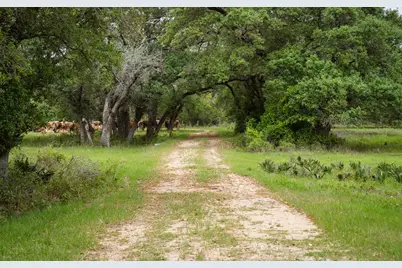 3814 County Road 19, Hallettsville, TX 77964 - Photo 34