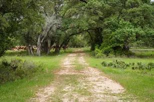 3814 Co Rd 19, Hallettsville, TX 77964 - Photo 34