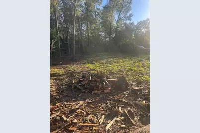 409 Wagers Street, Conroe, TX 77301 - Photo 6