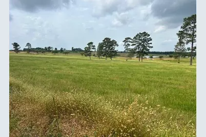 2622 Lakeland Drive, Hillister, TX 77624 - Photo 10