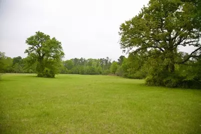 185 Hearne Road, Corrigan, TX 75939 - Photo 8