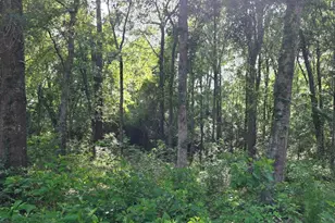 14068 Tower Glen Dr, Conroe, TX 77306 - Photo 20