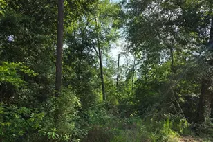 14068 Tower Glen Dr, Conroe, TX 77306 - Photo 24