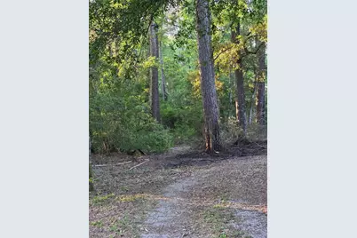 14068 Tower Glen Drive, Conroe, TX 77306 - Photo 18