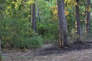 14068 Tower Glen Dr, Conroe, TX 77306 - Photo 18