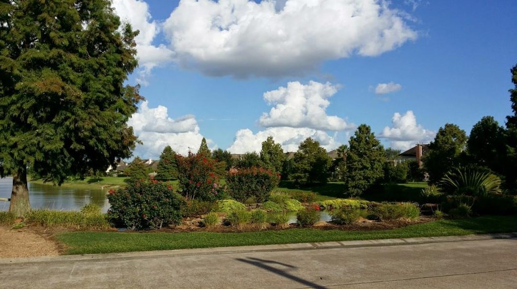 12447 Shady Downs Dr, Houston, TX 77082
