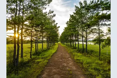 Tbd Lakeland Loop Lot 84, Hillister, TX 77624 - Photo 26