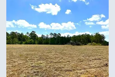 Tbd Lakeland Loop Lot 84, Hillister, TX 77624 - Photo 8