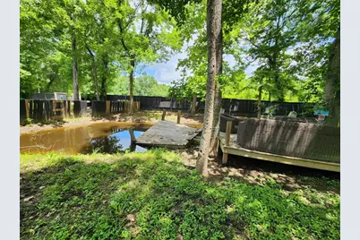 12123 Overhill Road, Plantersville, TX 77363 - Photo 6