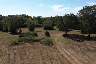 24082 Lonestar Parkway Rd, Montgomery, TX 77356 - Photo 4