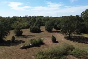 24082 Lonestar Parkway Rd, Montgomery, TX 77356 - Photo 8