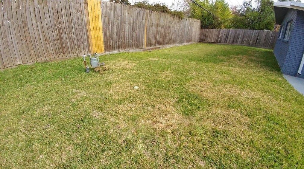 7906 Cedel, Houston TX  77055-1501 exterior