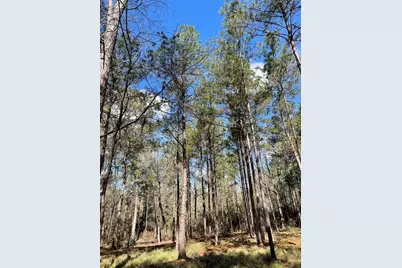Tbd Dedication Trail, Huntsville, TX 77340 - Photo 6