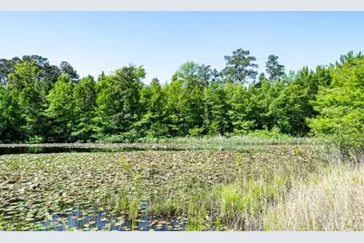 1331-A McCaleb Road, Montgomery, TX 77316 - Photo 6