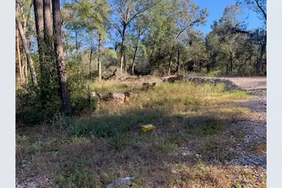 24780 Green Forest Drive, Splendora, TX 77372 - Photo 10