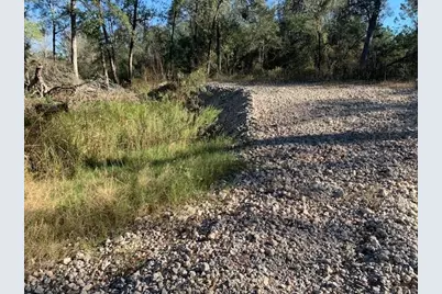 24780 Green Forest Drive, Splendora, TX 77372 - Photo 12