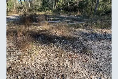 24780 Green Forest Drive, Splendora, TX 77372 - Photo 14