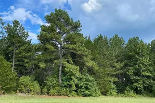 11837 Moss Grv Ct, Willis, TX 77378 - Photo 10