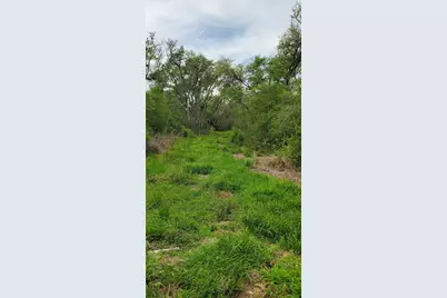 Tbd Specklebelly Lane Lot 251, Columbus, TX 78934 - Photo 20