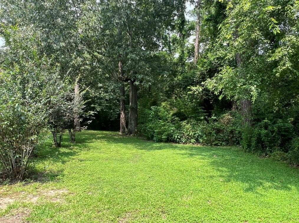 26221 Peach Crk, Roman Forest TX 77357-6910 exterior