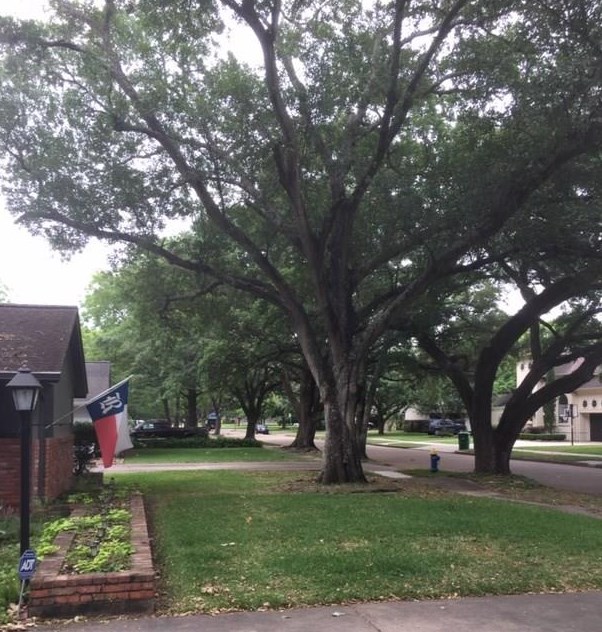 5122 Carew St, Houston, TX 77096