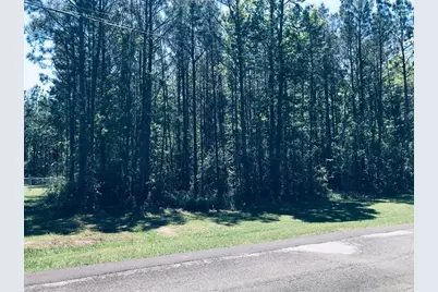 785 Forest Springs Dr Springs, Livingston, TX 77351 - Photo 1