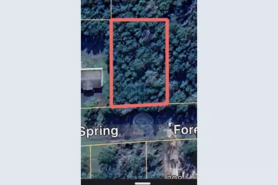 785 Forest Springs Dr Springs, Livingston, TX 77351 - Photo 6