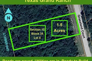 15-34-6 Grassland Ct, Huntsville, TX 77340 - Photo 1