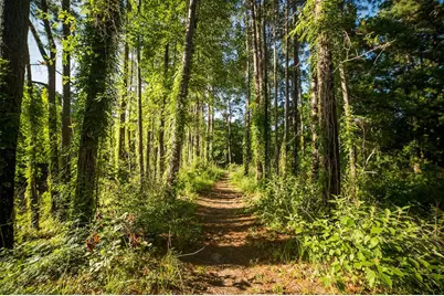 15-34-6 Grassland Court, Huntsville, TX 77340 - Photo 22