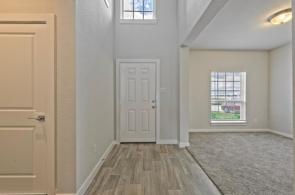 21411 Indigo Ruth Dr, Spring TX  77379 exterior