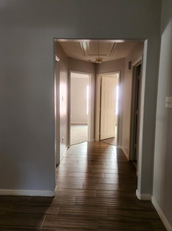 9006 Sable Terrace Ln, Houston, TX 77044