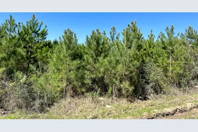 4 Rice Road East, Camden, TX 75934 - Photo 6