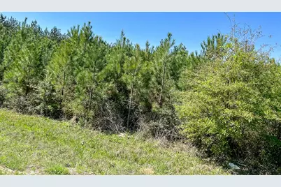 4 Rice Road East, Camden, TX 75934 - Photo 8