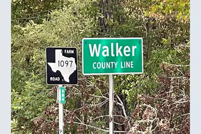 344 Exploration Road, Willis, TX 77378 - Photo 10