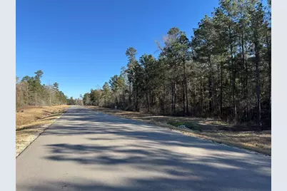 344 Exploration Road, Willis, TX 77378 - Photo 8