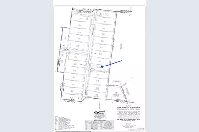 344 Exploration Road, Willis, TX 77378 - Photo 4