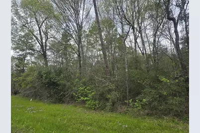 000 Tbd Reece Branch Court, Coldspring, TX 77331 - Photo 2