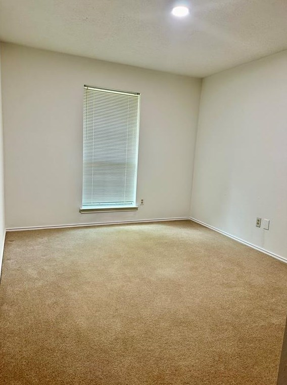 13507 Chipman Gln Dr, Houston TX  77082-5012 exterior