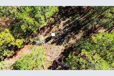 034 Magnolia Ranch Road, Onalaska, TX 77360 - Photo 10