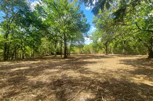 0 Fm 1960, Dayton, TX 77535 - Photo 1