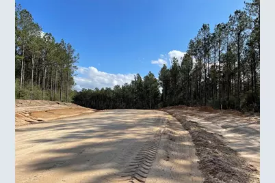 15327 Forest Grove Drive, Willis, TX 77378 - Photo 4