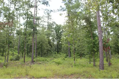 Tr 8 Oak Hill Trail, Kennard, TX 75847 - Photo 16