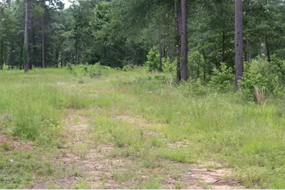 Tr 8 Oak Hill Trail, Kennard, TX 75847 - Photo 6