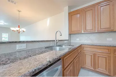 1119 Palmer Street, Houston, TX 77003 - Photo 18