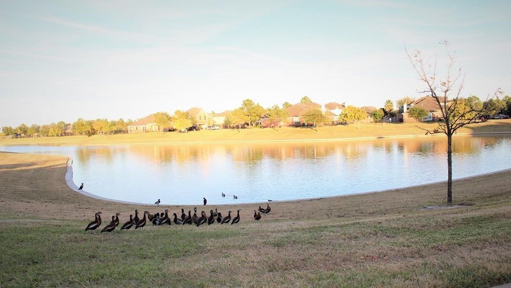 24626 Blane Dr, Katy TX  77493-2393 exterior
