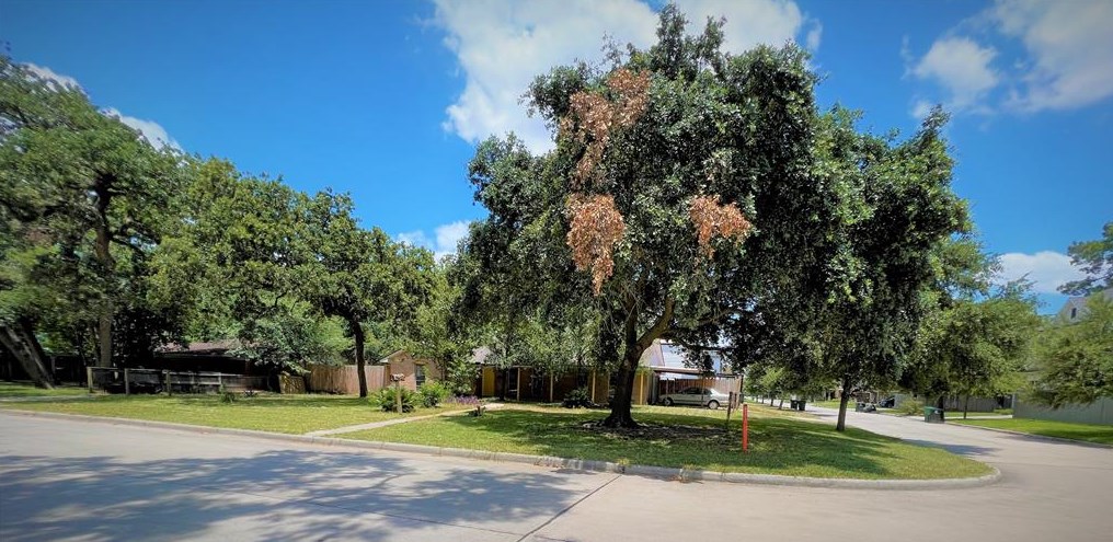 1518 Johanna Dr, Houston, TX 77055