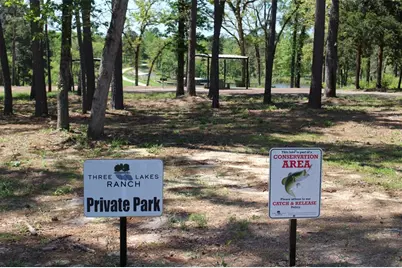 Tract 164 Private Road 1311, Centerville, TX 75833 - Photo 6