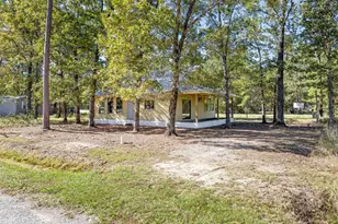326 W Woodland Shores Dr, Point Blank, TX 77364 - Photo 2